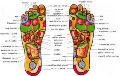Riflessologia del piede